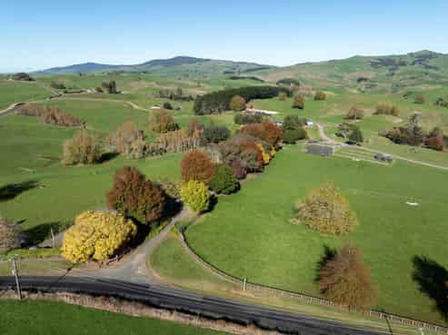 24 Waterworks Road, Morrinsville