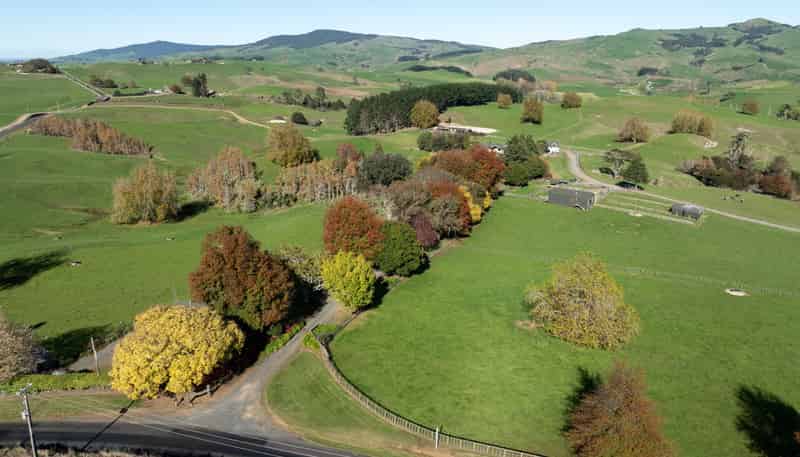 24 Waterworks Road, Morrinsville