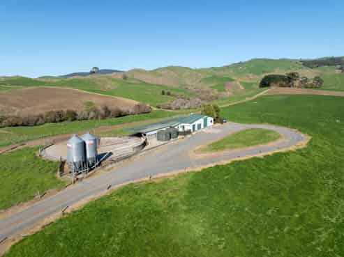 24 Waterworks Road, Morrinsville