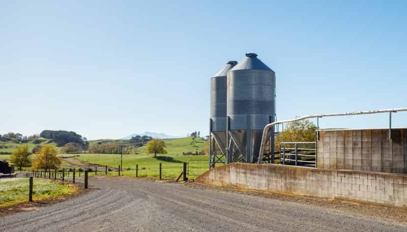 24 Waterworks Road, Morrinsville