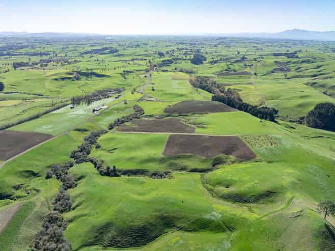 24 Waterworks Road, Morrinsville