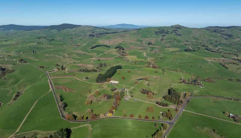 24 Waterworks Road, Morrinsville