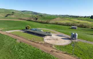 24 Waterworks Road, Morrinsville