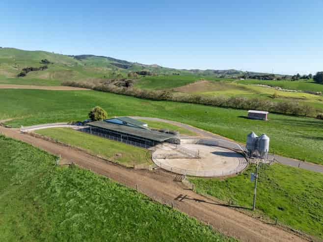 24 Waterworks Road, Morrinsville