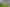 163 Totara Road, Whenuapai