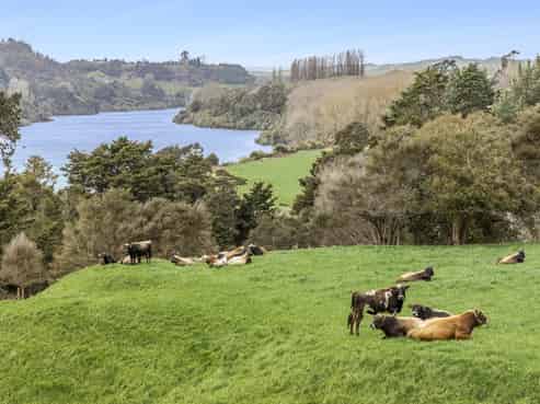 248 Stokes Road, Cambridge