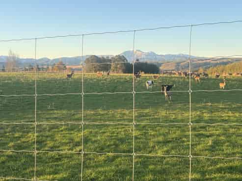 455 Albury Fairlie Road, Fairlie