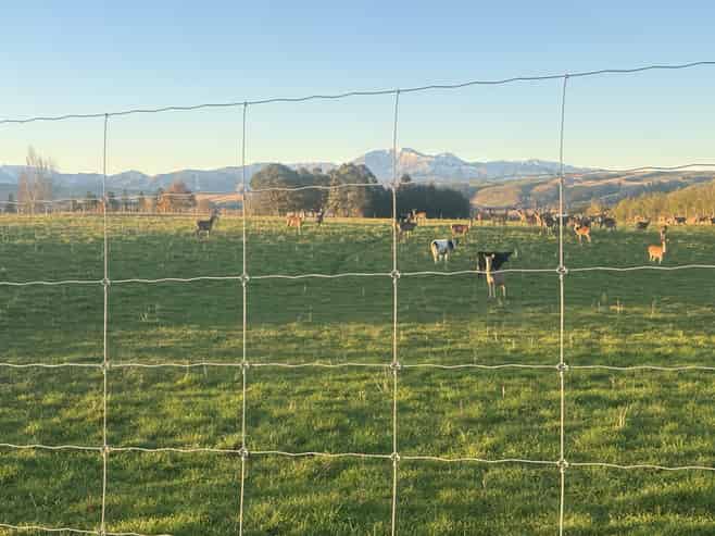 455 Albury Fairlie Road, Fairlie