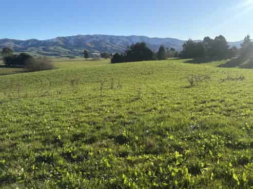 455 Albury Fairlie Road, Fairlie