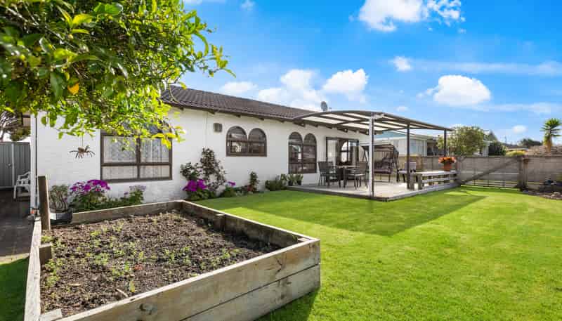 3A David Street, Morrinsville