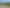 1237 Rapaura Road, Rapaura
