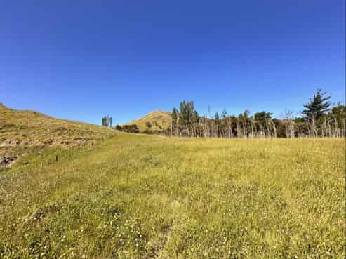 498 Seafield Road, Puketapu