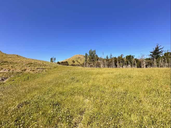 498 Seafield Road, Puketapu