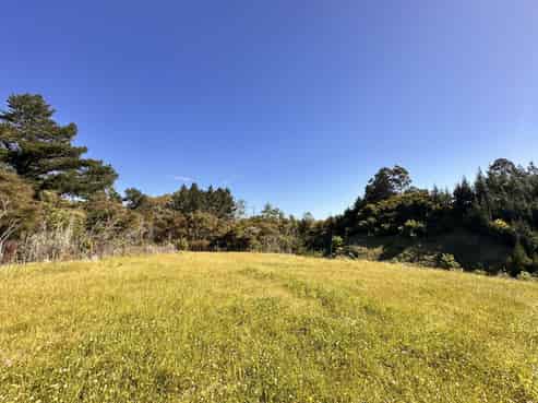 498 Seafield Road, Puketapu