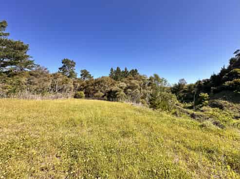 498 Seafield Road, Puketapu