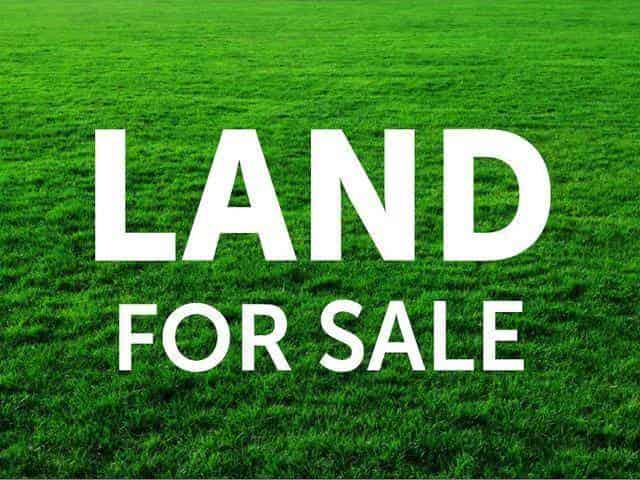4 Titchmarsh Lane, Pokeno
