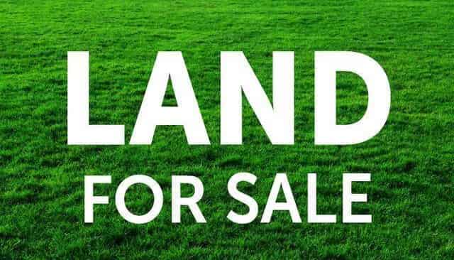 4 Titchmarsh Lane, Pokeno
