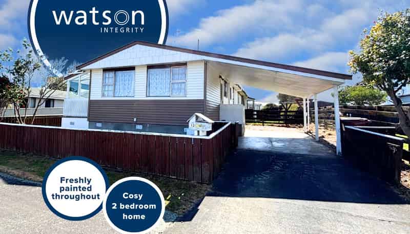 12 Douglas Street, Levin