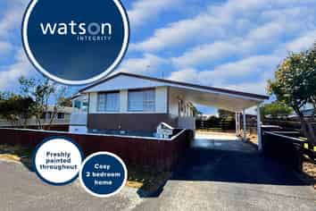 12 Douglas Street, Levin