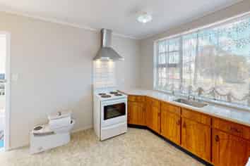 12 Douglas Street, Levin