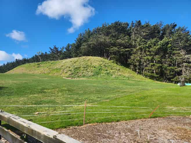 4 Maury Place, Foxton