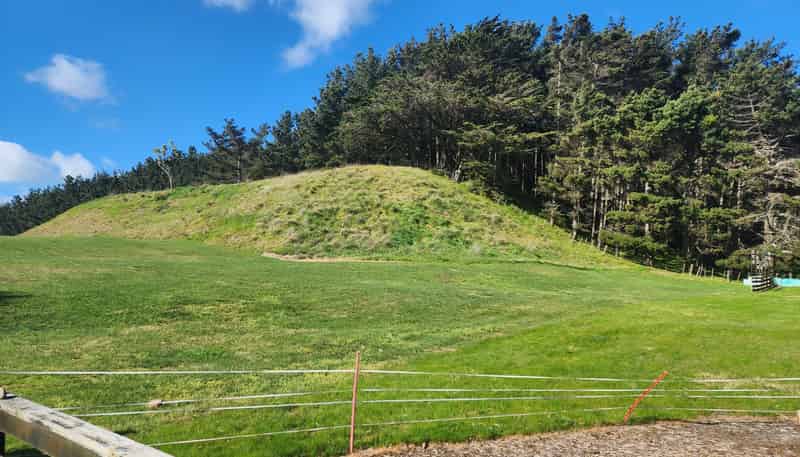 4 Maury Place, Foxton