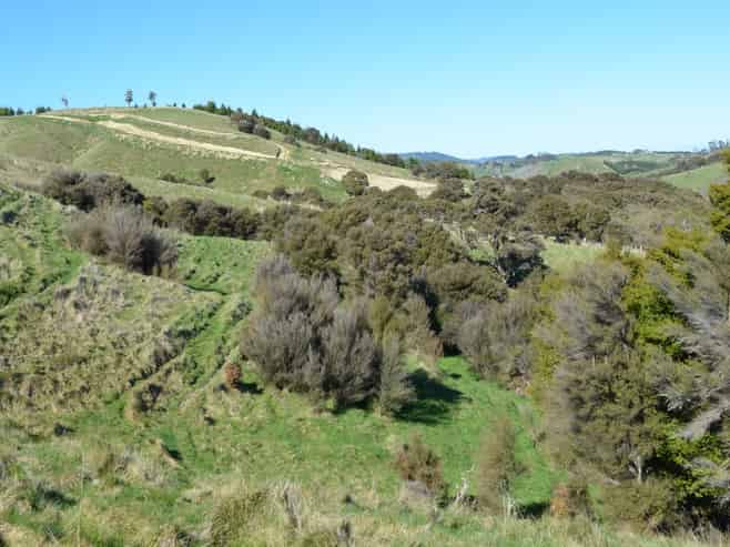  Mangapurupuru Road, Bideford