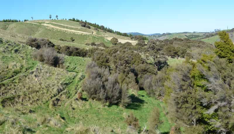  Mangapurupuru Road, Bideford