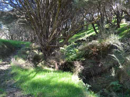  Mangapurupuru Road, Bideford