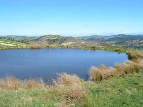  Mangapurupuru Road, Bideford