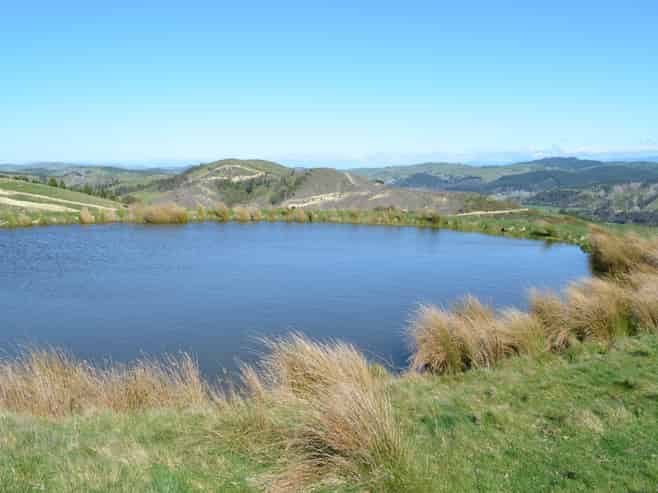  Mangapurupuru Road, Bideford