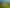 510 Wall Road, Raureka