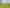510 Wall Road, Raureka