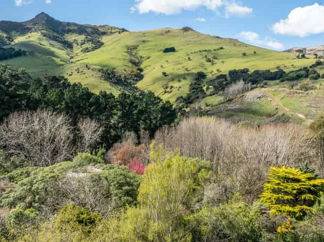 196A Okains Bay Road, Robinsons Bay