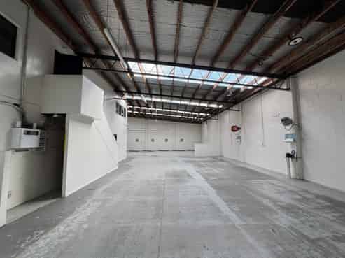 Large Te Aro Industrial
