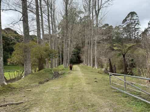  Waioeka Pa Road, Opotiki