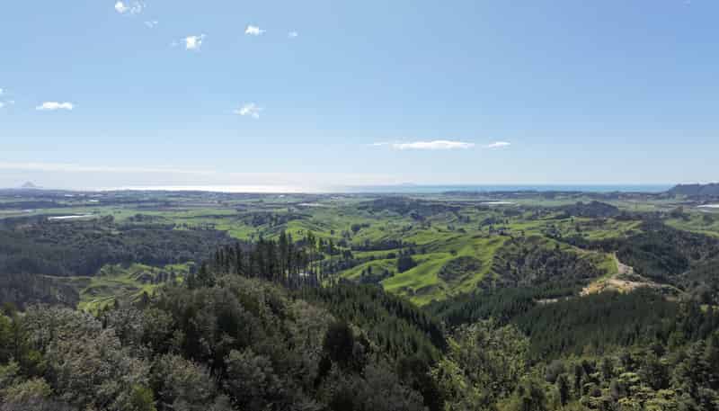  Waioeka Pa Road, Opotiki