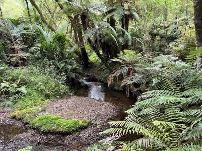  Waioeka Pa Road, Opotiki