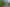 Wairarapa - Address withheld
