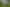 Wairarapa - Address withheld