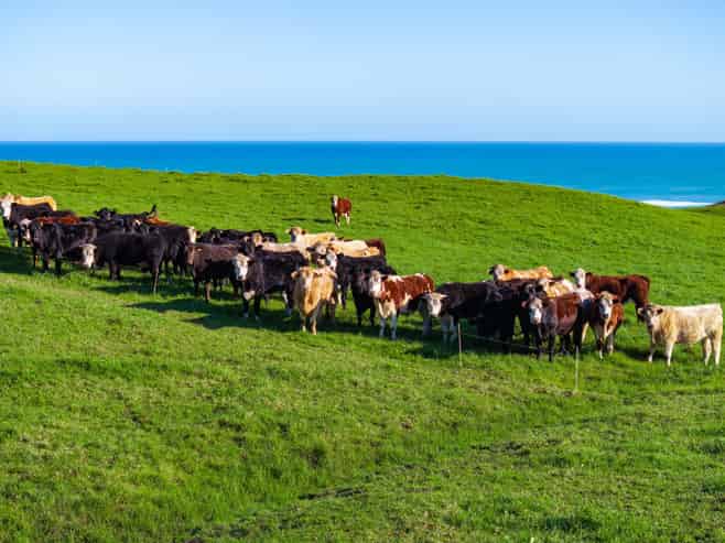 792 Omamari Road, Dargaville