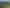1180 East Coast Road, Redvale