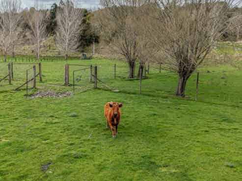 93 Black Rock Road, Te Ore Ore