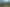 21 Sequoia Pl, Sunnynook