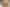 21 Sequoia Pl, Sunnynook