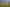 Coromandel - Address withheld