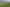 Coromandel - Address withheld