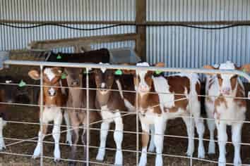 1430 Eltham Road, Kaponga