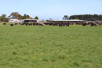 1430 Eltham Road, Kaponga