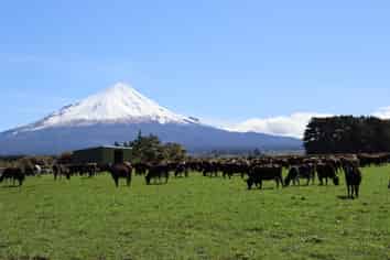 1430 Eltham Road, Kaponga